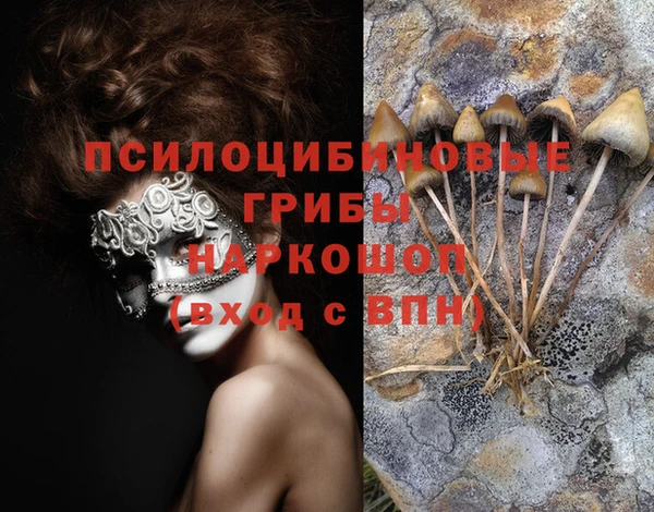 прущая мука Покачи
