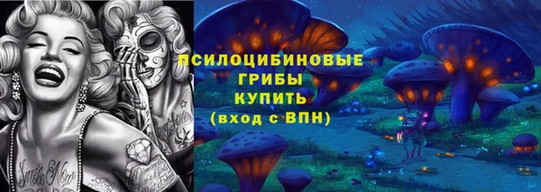 СК Покров