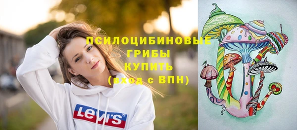 СК Покров