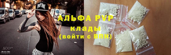 СК Покров