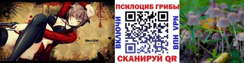 mega зеркало где можно купить Абинск Псилоцибиновые грибы Psilocybe