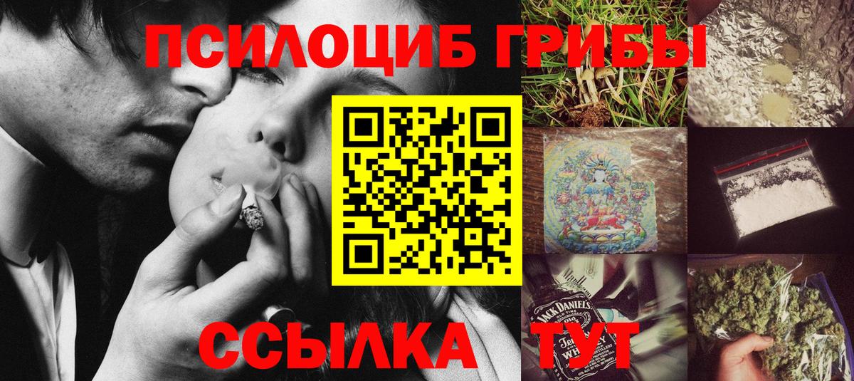 как найти закладки  Абинск  Галлюциногенные грибы мицелий 