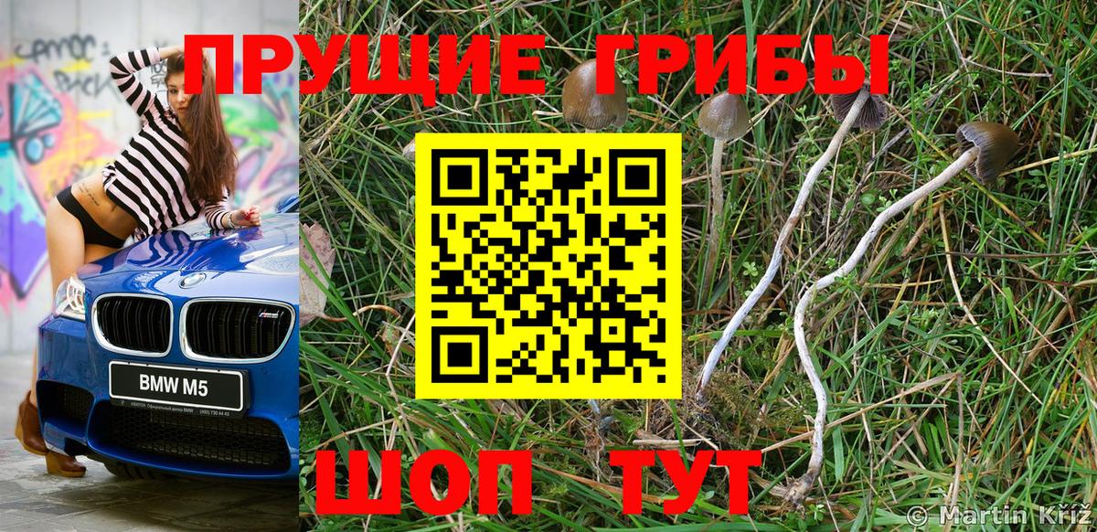 Галлюциногенные грибы мицелий Абинск