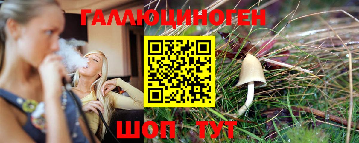 Псилоцибиновые грибы мухоморы  Вход с VPN  Псилоцибиновые грибы Cubensis  Абинск 