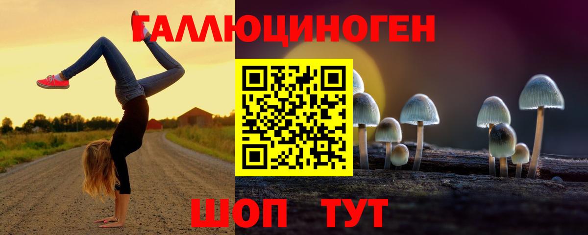 Абинск  Галлюциногенные грибы Psilocybe  Вход с VPN 